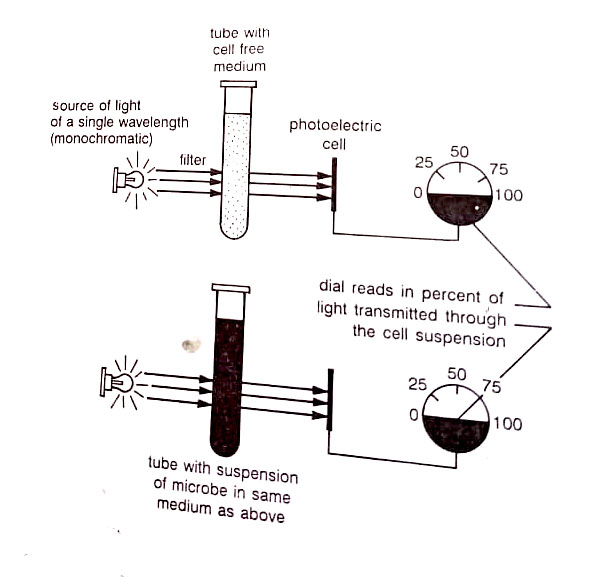 Principle of a Spectrophotometer used to measure cell mass by light transmission